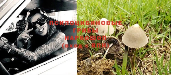 дживик Волоколамск