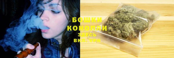 сатива Вязьма