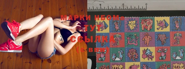 сатива Вязьма